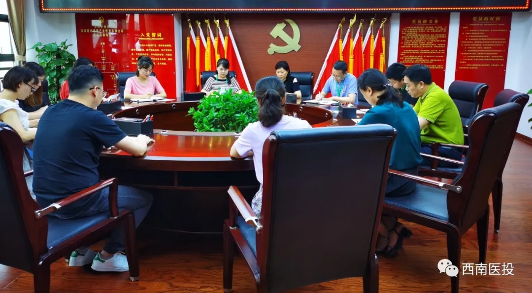 西南醫(yī)投集團(tuán)第二黨支部開展“逐夢起新航，習(xí)近平寄語青年”黨課活動